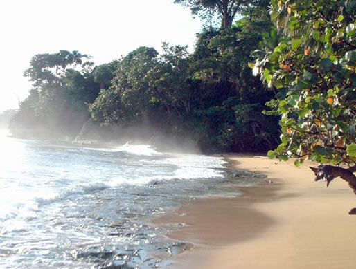 manuel antonio