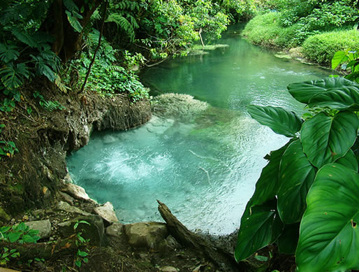 manuel antonio